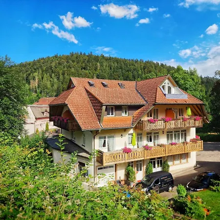Daszimmermann 3*