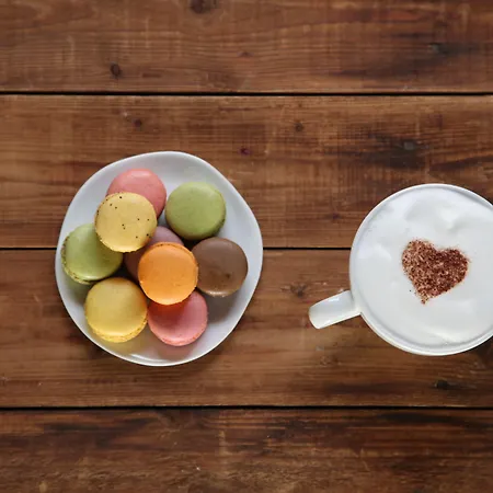 Daszimmermann 3* Todtmoos