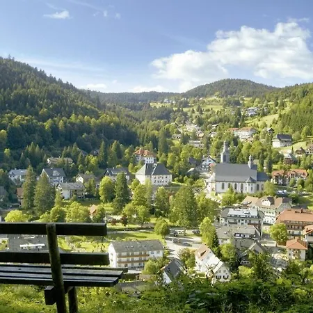 Daszimmermann Gæstehus Todtmoos