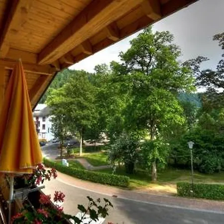 Daszimmermann Penzion 3*