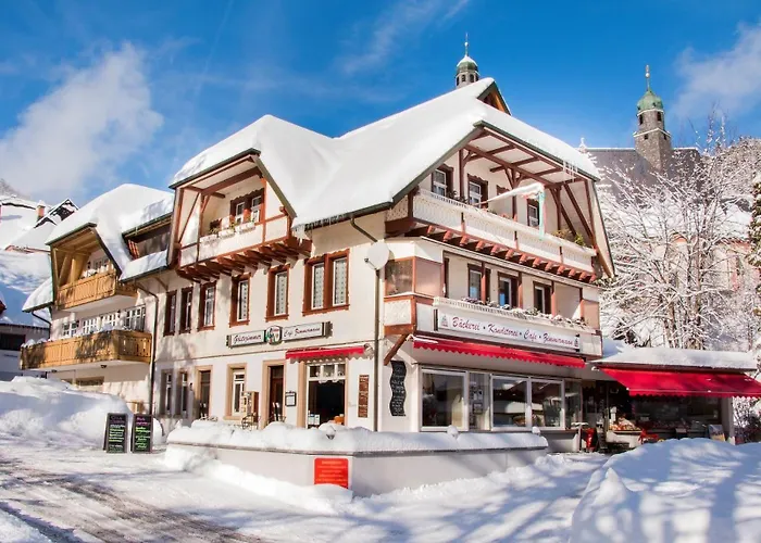 게스트하우스 Daszimmermann 토트무스