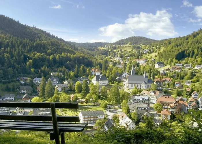 Daszimmermann Pensión Todtmoos