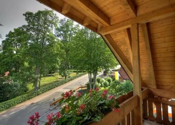 Daszimmermann 3* Todtmoos